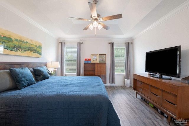 bedroom with a raised ceiling, multiple windows, and wood finished floors