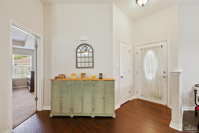 foyer featuring dark wood-type flooring and a high ceiling