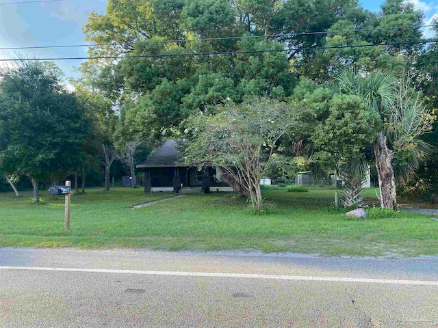 view of property hidden behind natural elements featuring a front lawn