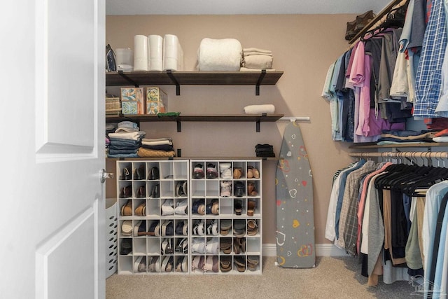 walk in closet with carpet floors