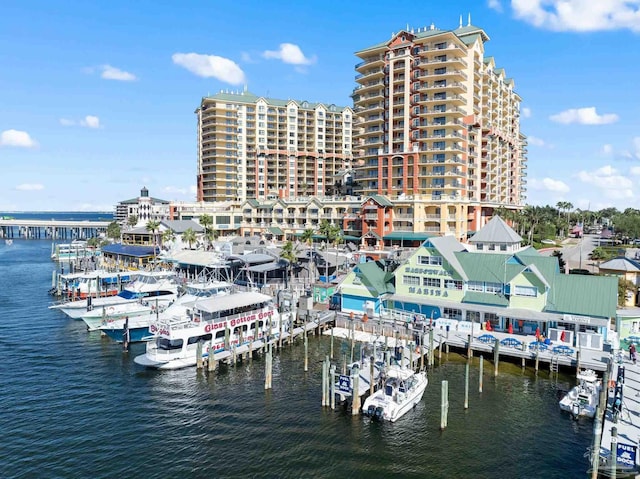 dock area with a water view