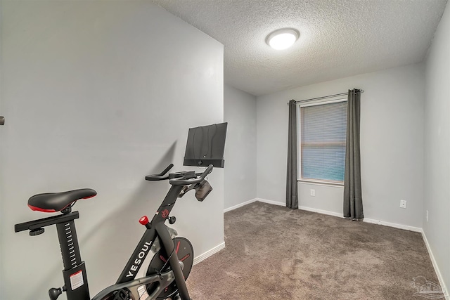 6205 E Forest Pines Dr, Pensacola, FL 32526 - exercise area featuring carpet floors and a textured ceiling