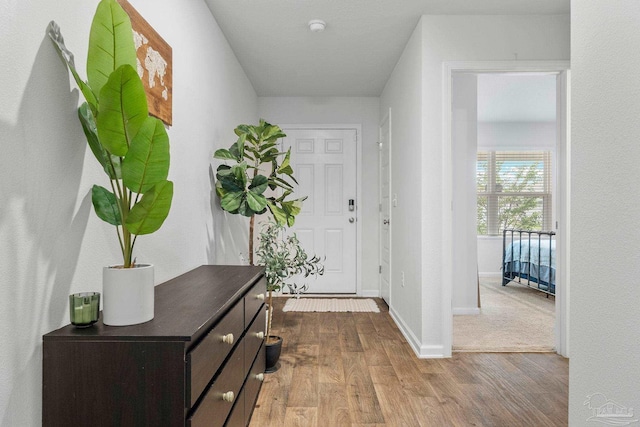 entrance foyer with light hardwood / wood-style flooring