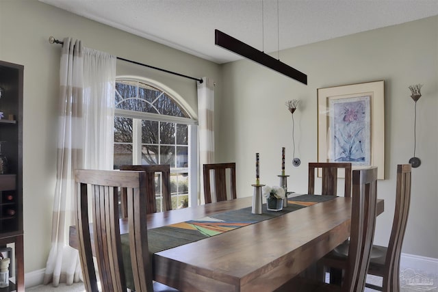 dining room featuring a healthy amount of sunlight and a textured ceiling