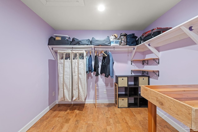 walk in closet with hardwood / wood-style flooring