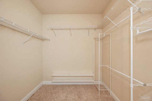 spacious closet with carpet flooring