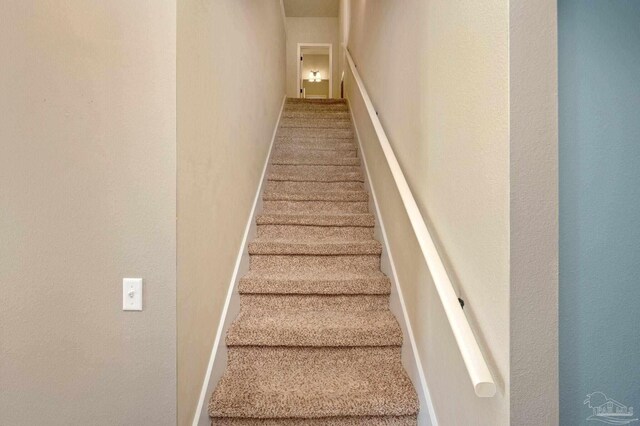 staircase with carpet floors