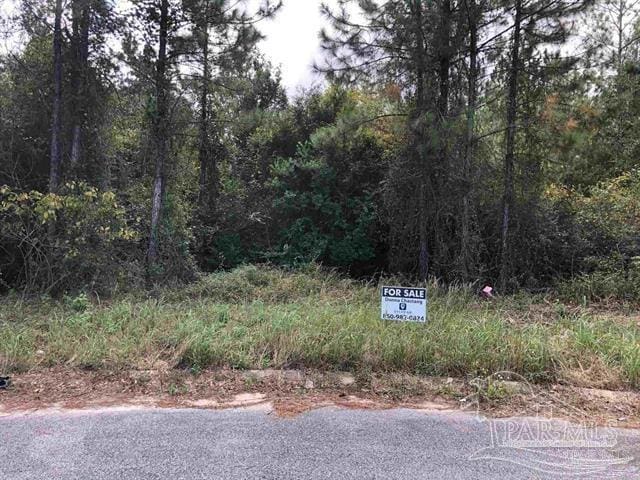 Listing photo 3 for 0 Red Oak Dr, Milton FL 32583