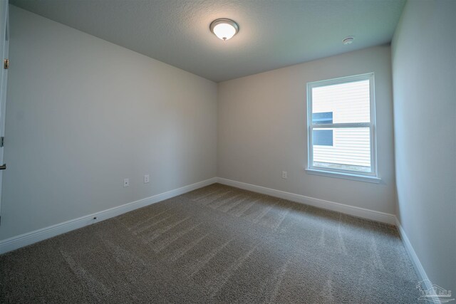 empty room featuring carpet floors