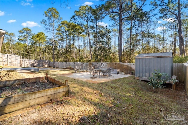 view of yard with a patio and a shed