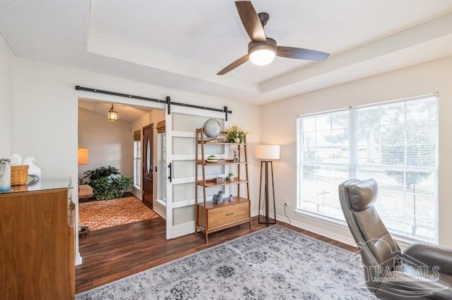 office space featuring dark hardwood / wood-style flooring, a tray ceiling, a barn door, and ceiling fan