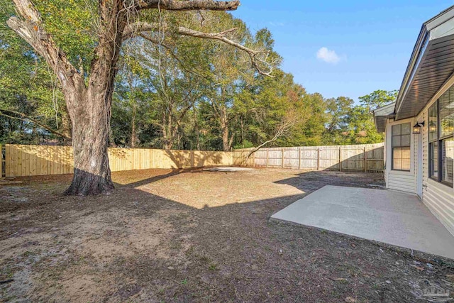 view of yard featuring a patio