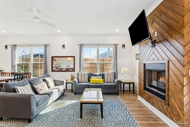 living room with ceiling fan, hardwood / wood-style floors, and ornamental molding