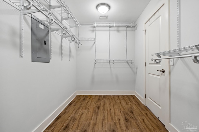 spacious closet featuring electric panel and wood-type flooring