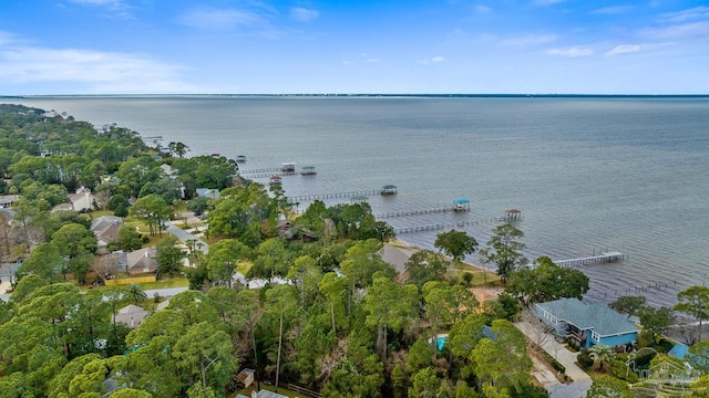 bird's eye view featuring a water view