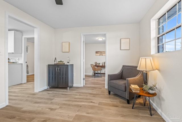 sitting room with light hardwood / wood-style floors