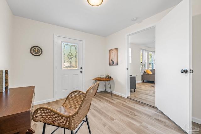 entrance foyer with light hardwood / wood-style flooring