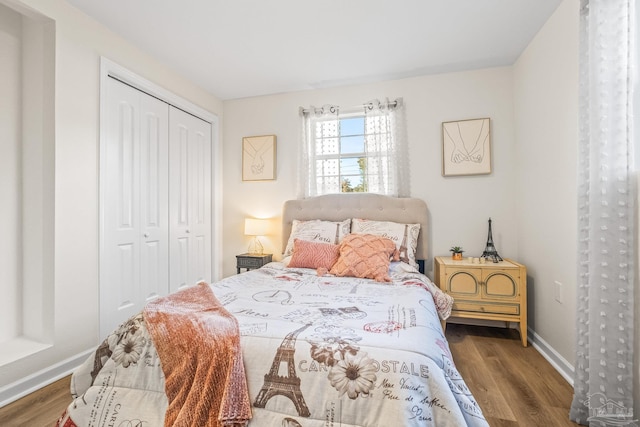 bedroom with a closet and wood-type flooring