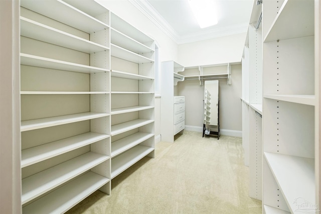 3995 W Madura Rd, Gulf Breeze, FL 32563 - walk in closet with carpet floors