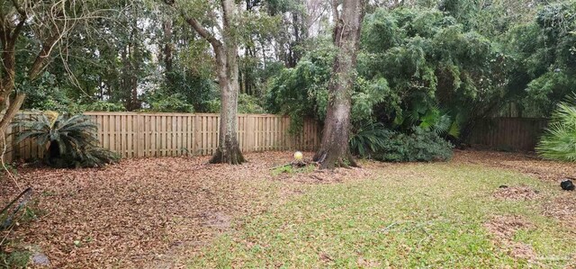 view of yard with a fenced backyard