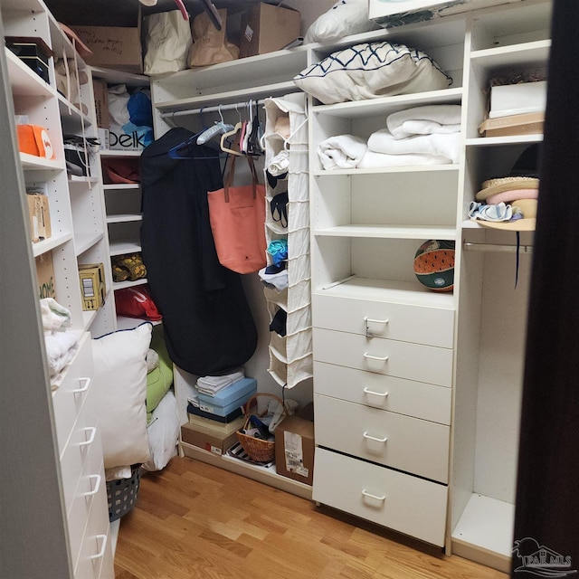 spacious closet featuring light wood finished floors