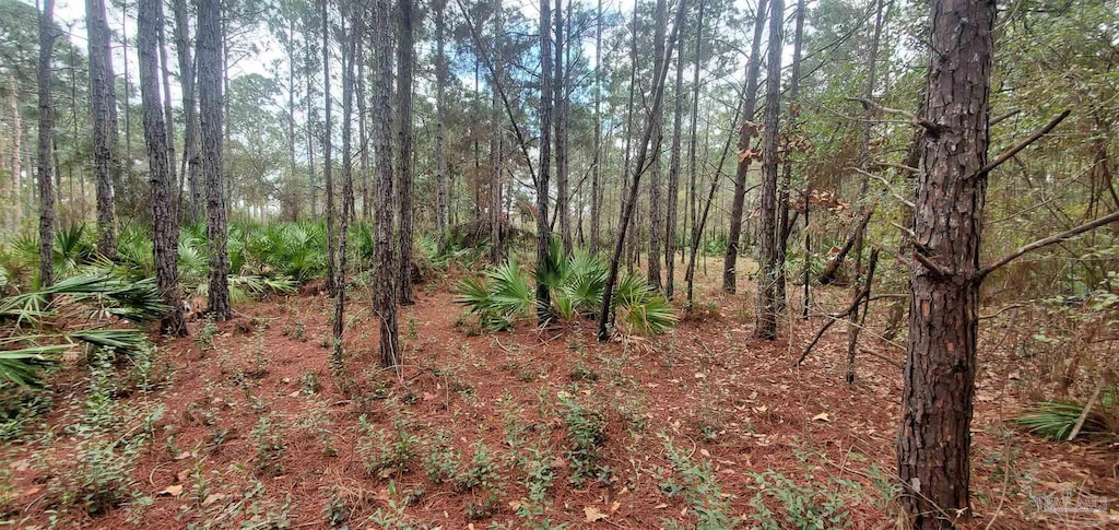 8781 Olivera St, Navarre, FL 32566 - view of undeveloped land