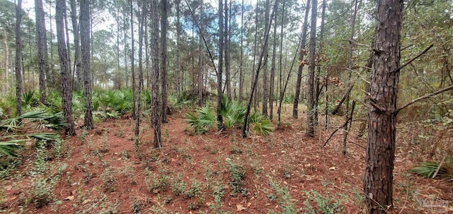 8781 Olivera St, Navarre, FL 32566 - view of undeveloped land
