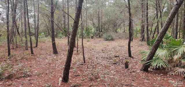 8781 Olivera St, Navarre, FL 32566 - view of wooded area