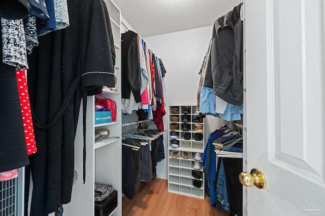 spacious closet with wood-type flooring