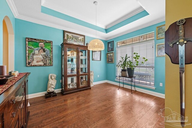 miscellaneous room featuring dark wood-type flooring, crown molding, and a raised ceiling