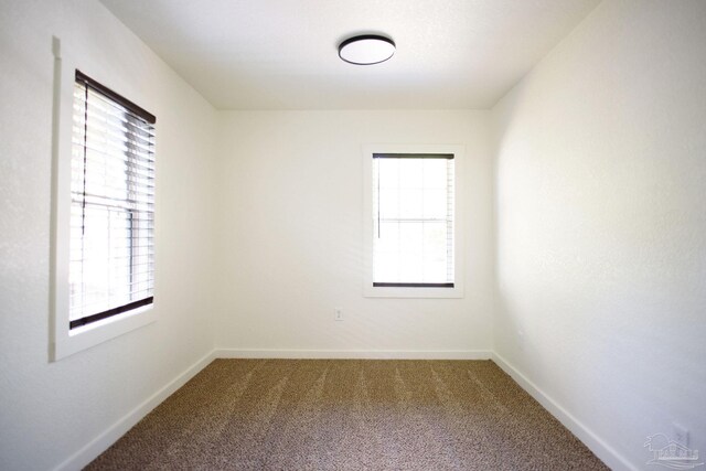 spare room featuring plenty of natural light and carpet floors