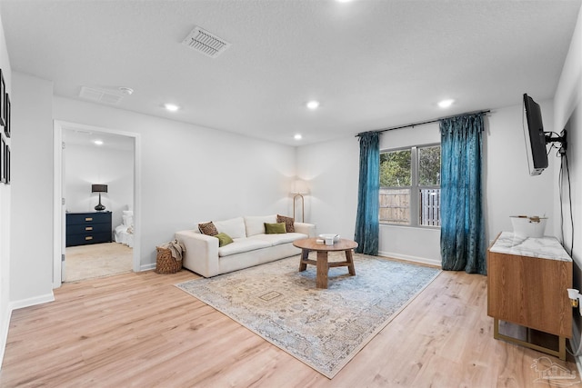 living room featuring light wood-type flooring