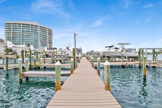 dock area with a water view