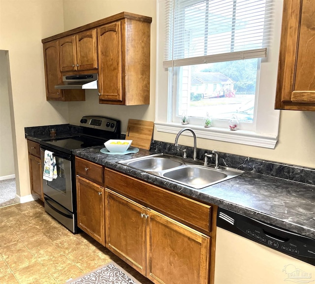 kitchen with dishwasher, electric stove, and sink