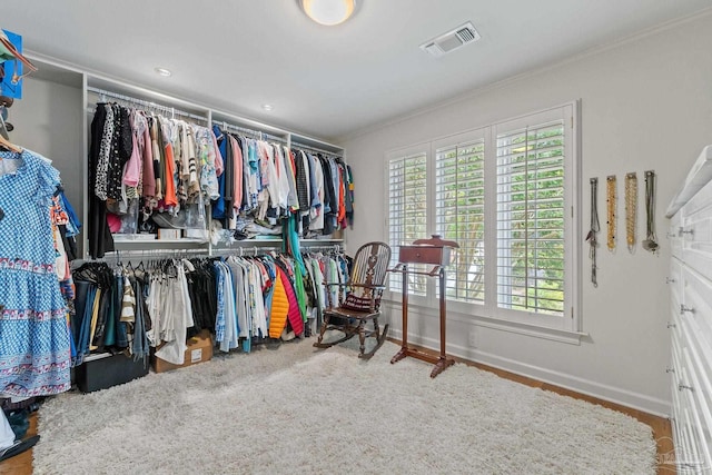 spacious closet featuring wood-type flooring