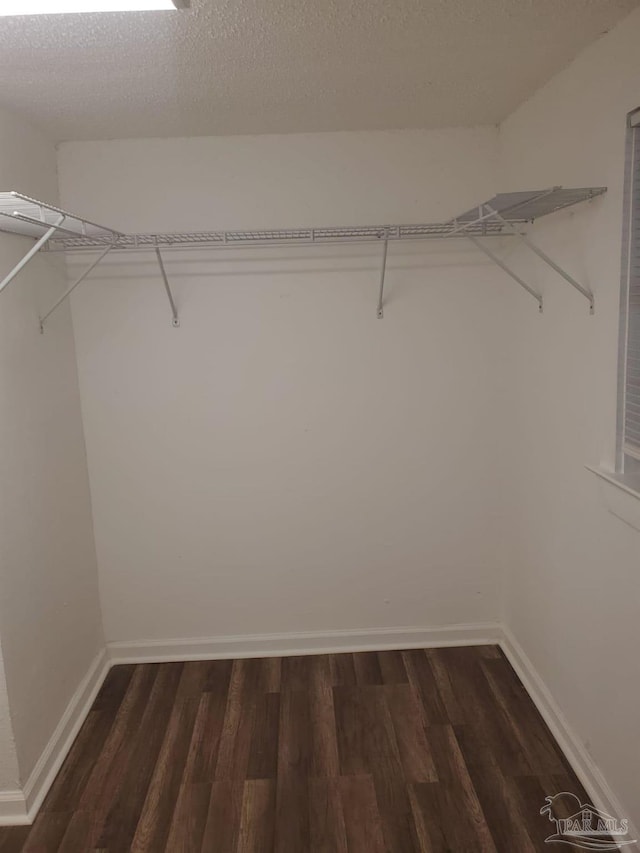 spacious closet with dark wood-type flooring