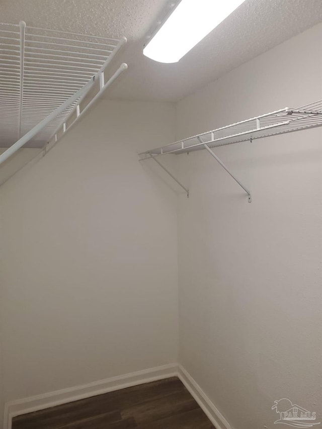 spacious closet featuring dark wood finished floors