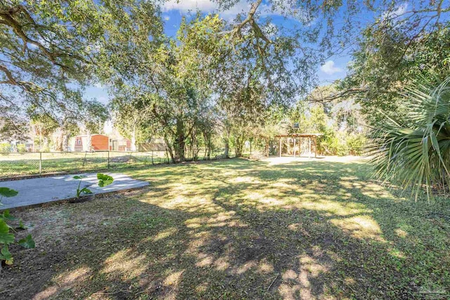 view of yard featuring a patio area