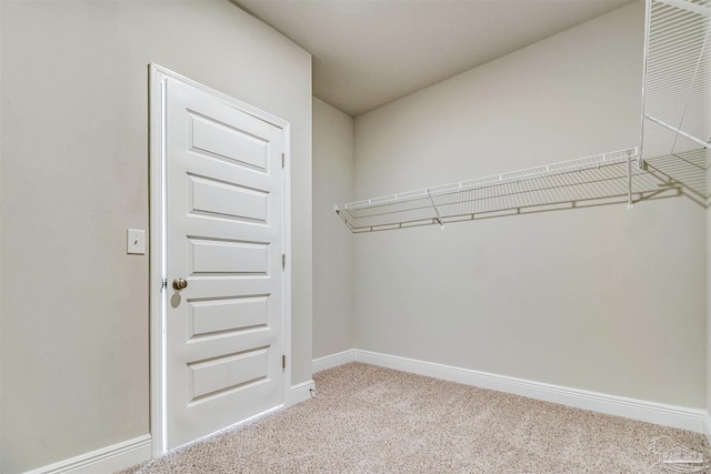 spacious closet featuring light colored carpet