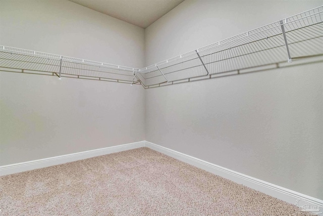 walk in closet with carpet