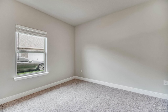 empty room featuring a wealth of natural light and carpet flooring