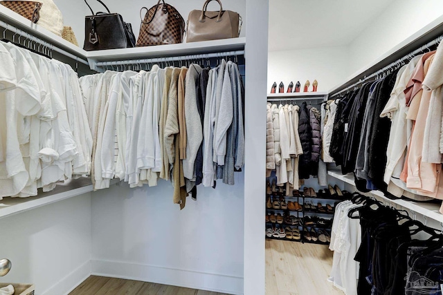 spacious closet with wood finished floors