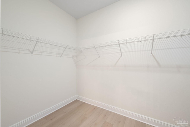 walk in closet with hardwood / wood-style flooring