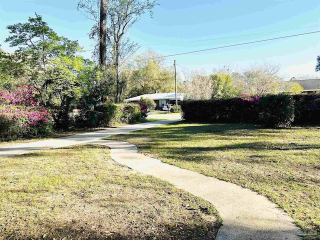view of yard