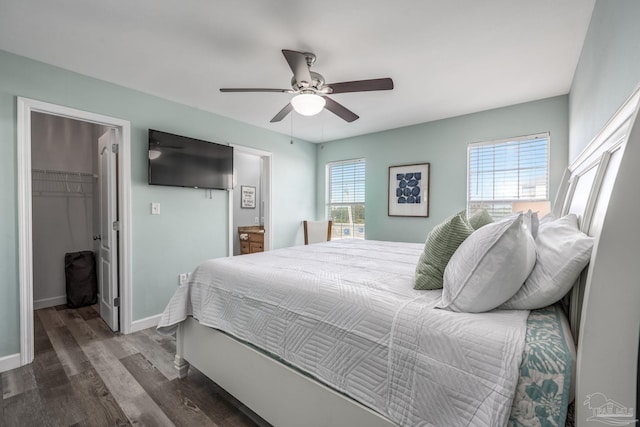 bedroom with a walk in closet, multiple windows, baseboards, and wood finished floors