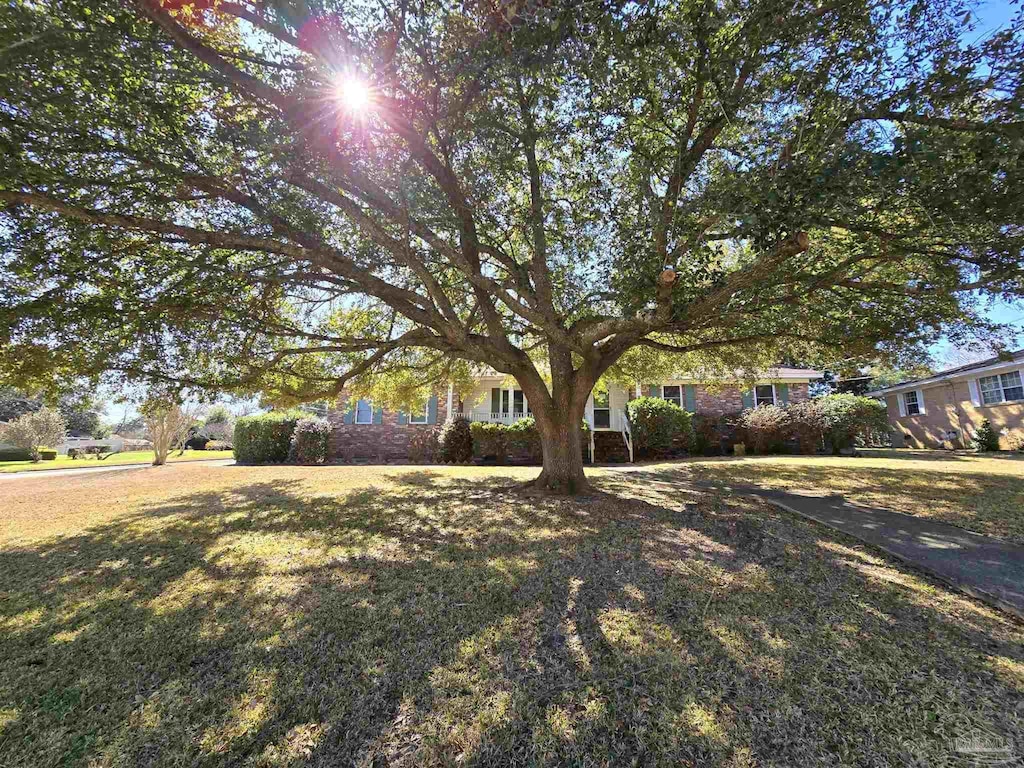 view of front of home featuring a front yard