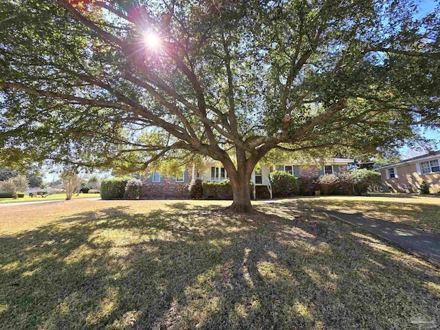 view of front of home featuring a front yard