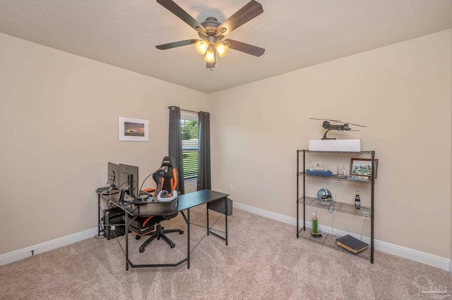 office space featuring ceiling fan, carpet flooring, and a textured ceiling