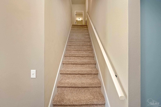 staircase with carpet