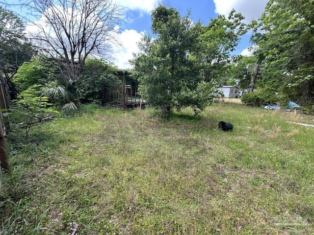 3010 N 6th Ave, Pensacola, FL 32503 - view of yard